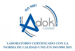UNE-EN ISO 9001:2015